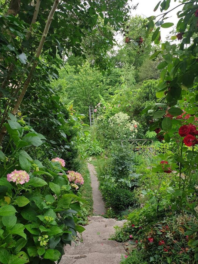 La Petite Maison Du Jardin D'Apollon Dourdan Buitenkant foto