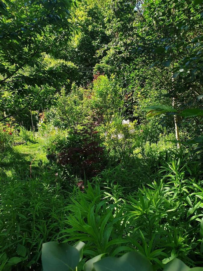 La Petite Maison Du Jardin D'Apollon Dourdan Buitenkant foto